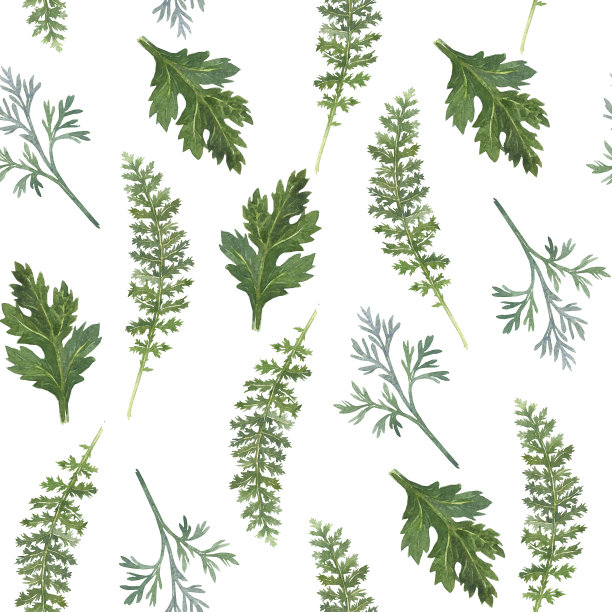 水彩植物图案，纺织品图案。无缝模式。春天的野花，绿枝。包装纸，礼品包装。耧斗菜花。乡村，生态婚礼装饰，包装纸。图片下载