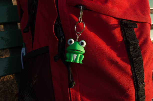 红色背包和有趣的青蛙钥匙圈。图片下载