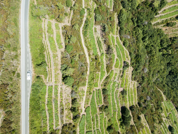 穿越五个地球的路图片下载