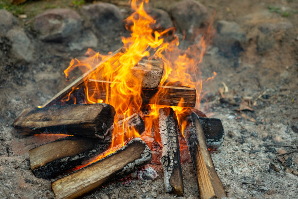 温暖的壁炉和许多树准备烧烤。图片下载
