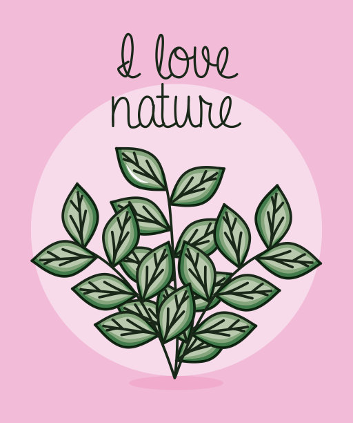 叶植物园林自然的象征图片下载