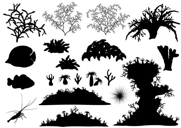 珊瑚及水下动物-各种热带鱼、海绵、虾及海胆。一组矢量剪影。图片下载