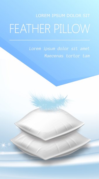 上面有羽毛的白色长方形枕头图片下载