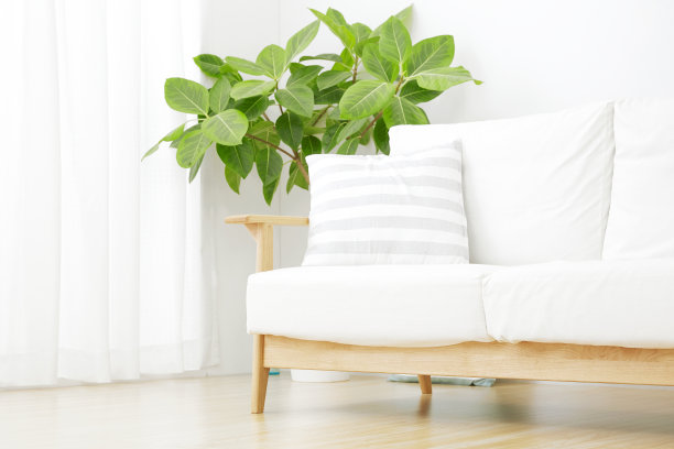 风景的房间，没有人图片下载