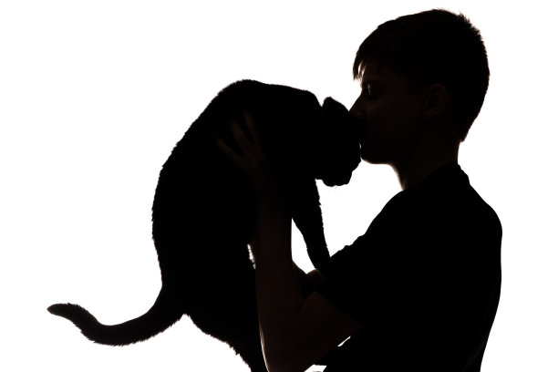 吻的猫图片下载