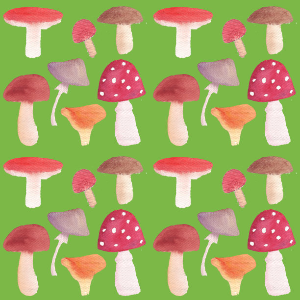 无缝图案从一组红色，棕色，红色，白色，蘑菇在草绿色的背景图片下载