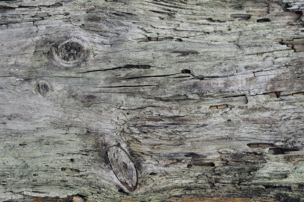 天然纹理的老树无树皮开裂。上面放一块旧木板。图片下载