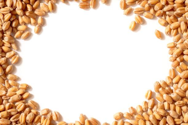 麦粒制成的框架(预留空白以供复印)图片下载