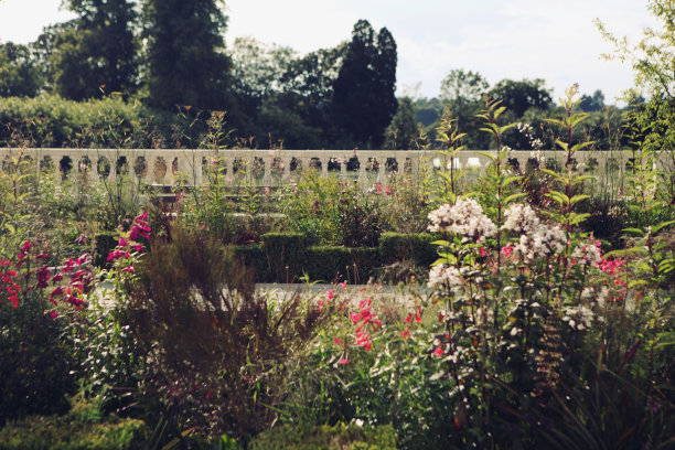 漂亮的装饰花园图片下载