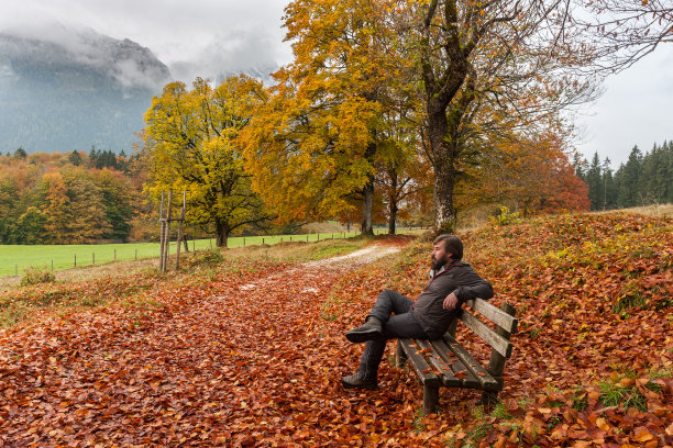 一个人坐在长凳上，看着周围的秋天图片下载