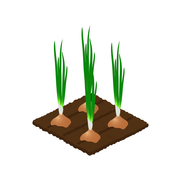 洋葱床。物体隔离在白色背景上。游戏元素。图片下载