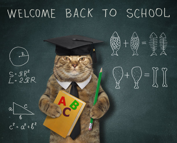 凯特在上数学课图片下载