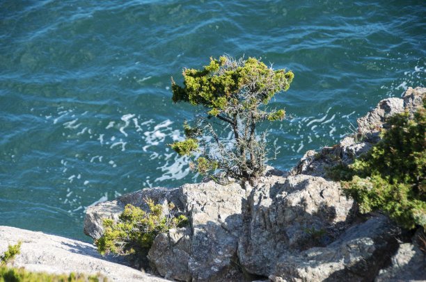 悬崖上的风景图片下载