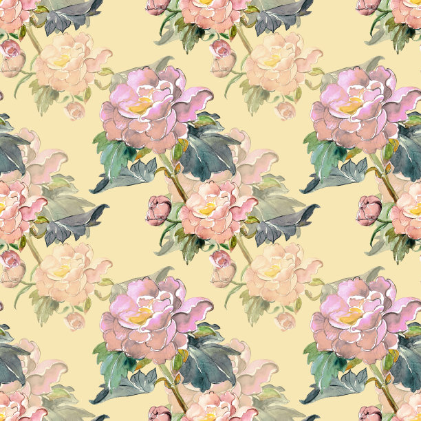 夏天的花图片下载