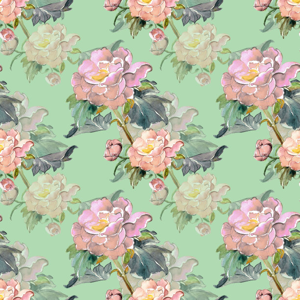 夏天的花图片下载