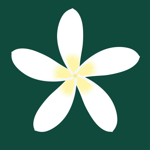 白色的热带花朵。前视图。孤立在绿色背景上。矢量平面插图。图片下载