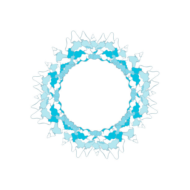 圆形框架的文字来自圣诞树。矢量图片贺卡。图片下载