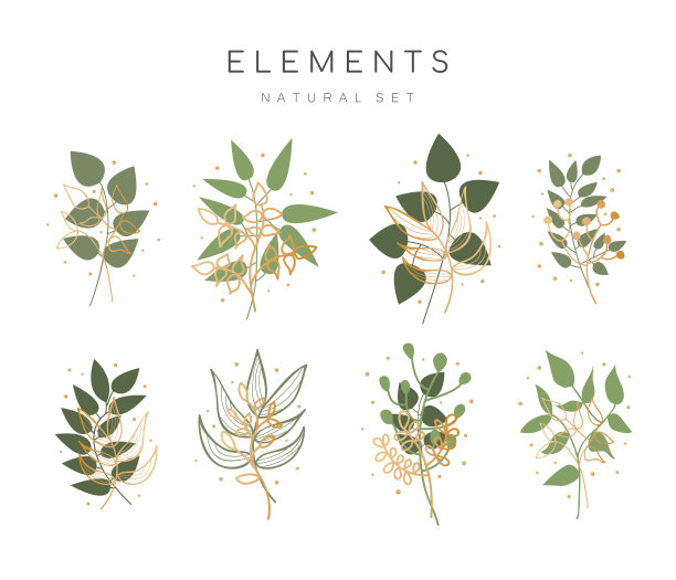 矢量集手绘植物元素图片下载