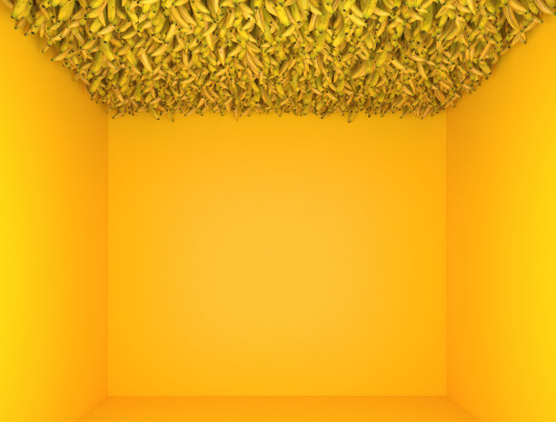 室内为单色黄色。天花板上有很多香蕉的展览装置。创意装饰构图。现代艺术，3D渲染。图片下载