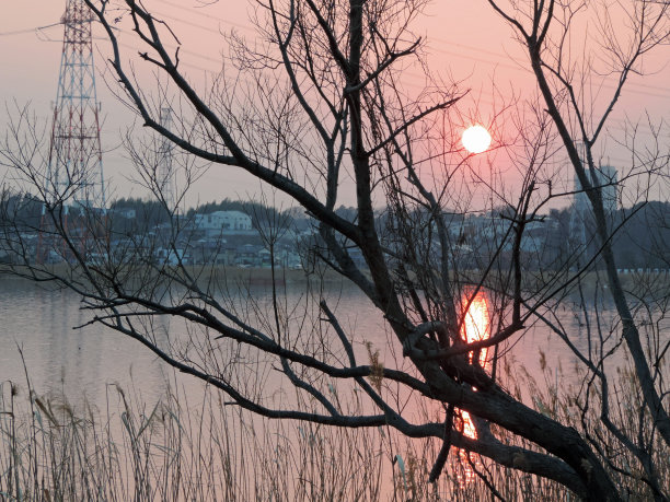 2月。日落。从Teganuma湖看阿比科市。图片下载