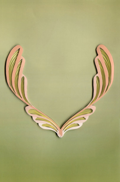 装饰纸艺术边界在阴影的绿色和桃子，完美的为您的文本图片下载