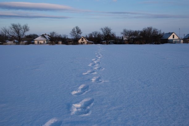 雪地上的脚印。美丽的景象，一个村庄在一大片白雪覆盖的田野。图片下载