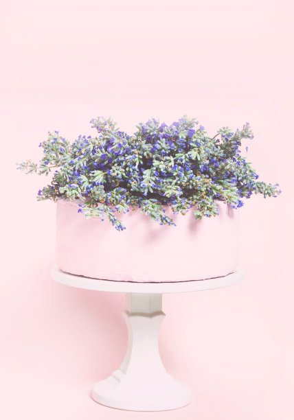 带薰衣草花的白色婚礼蛋糕图片下载