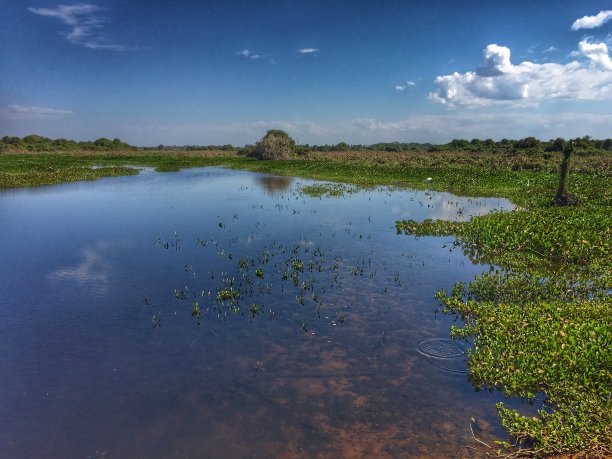潘塔纳尔图片下载