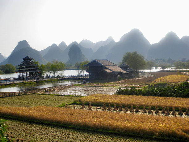 香格里拉的稻田图片下载