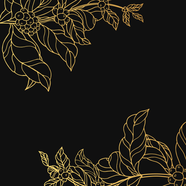概念黄金边界与vintage咖啡树枝与金叶和豆。可可背景框架商店或房子。向量孤立的插图。图片下载