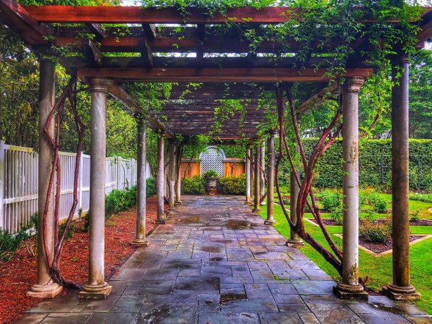 美丽的拱门图片下载