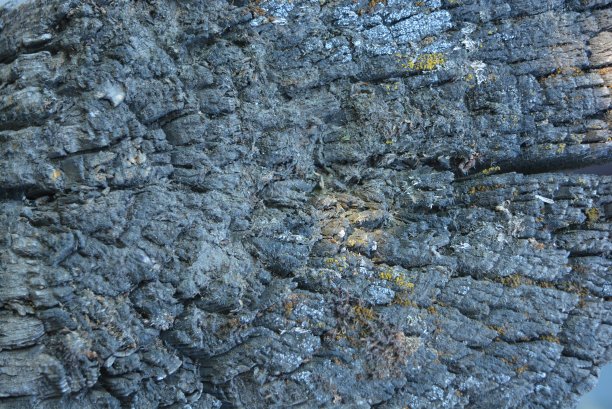 街道上的方形锯木的旧结构。图片下载