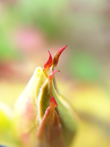 多愁善感的人图片下载