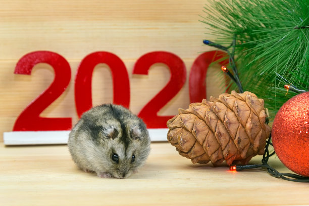 2020年元旦图片素材ID：341664738