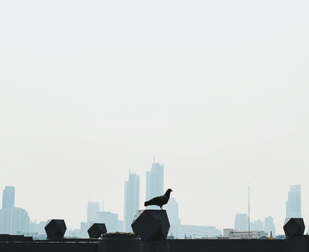 鸟瞰图图片下载