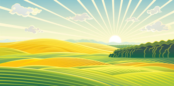 乡村景观，田野和山丘上的日出图片下载