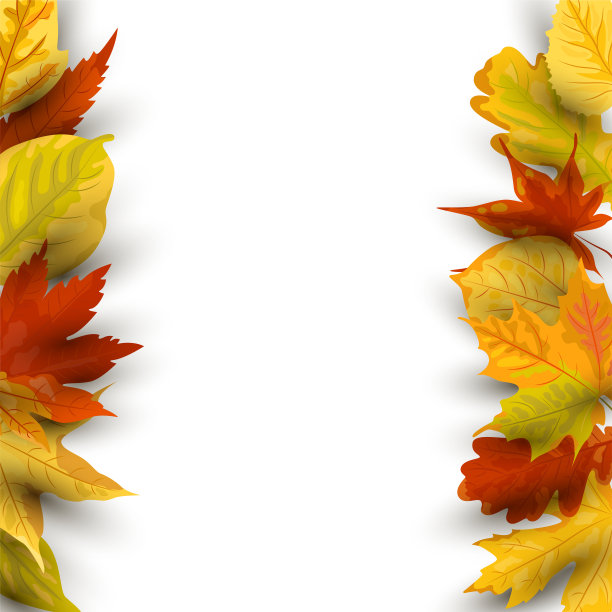 秋叶落在白色的背景上。素材图片