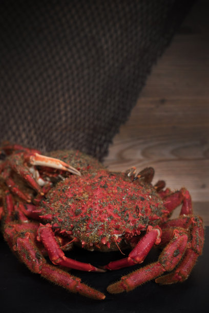 天然海蟹，海鲜及鱼类图片下载