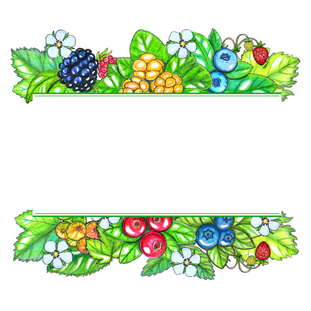 手绘水彩模板与浆果和树叶图片下载