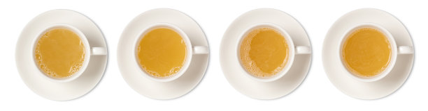 杯姜茶品种俯视图收藏图片下载