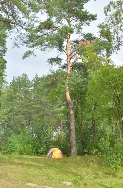 森林里的露营帐篷。图片下载