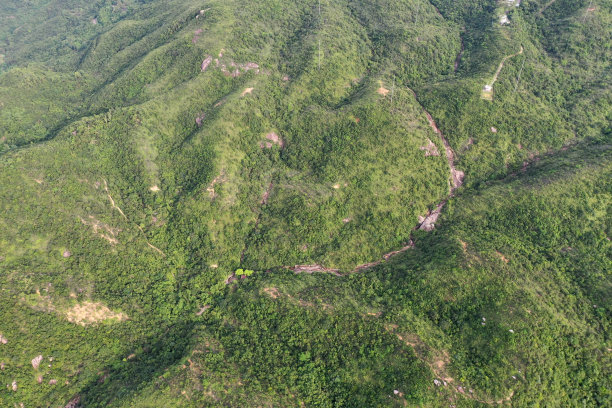 香港宝马山顶的景观图片下载