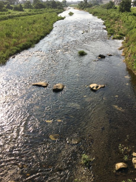 日本八王子市八月碧绿充满活力的“浅川”河图片下载