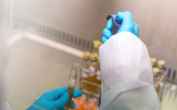 实验室技术人员在医院实验室的生物柜中，用脑心灌注(BHI)培养培养基培养微生物。图片下载