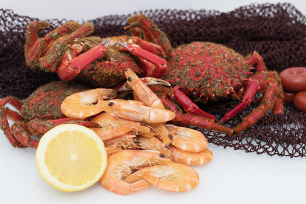 新鲜野生加利西亚海鲜图片下载