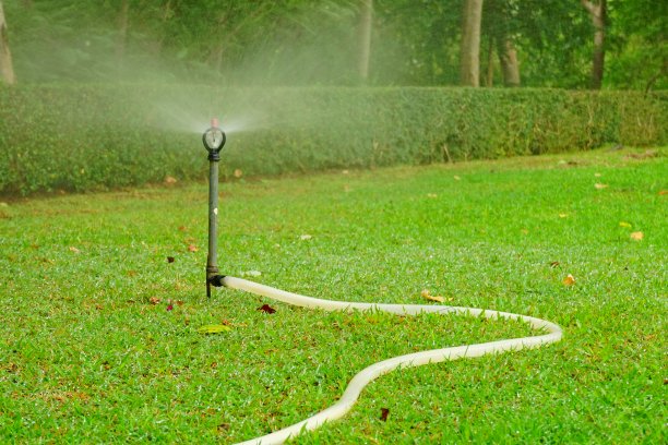 花园洒水图片下载