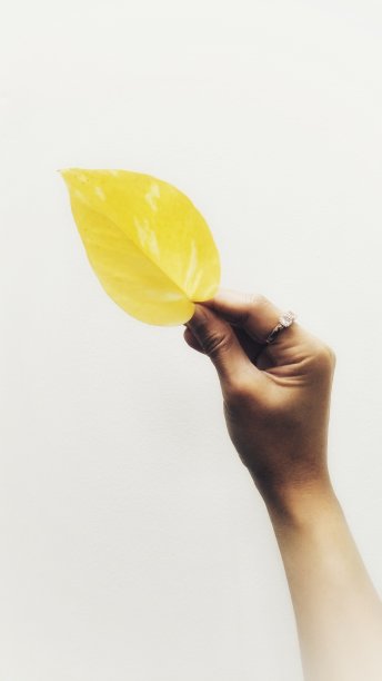 植物的女人图片下载