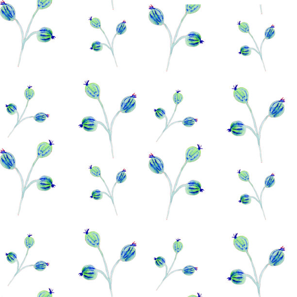 花卉图案水彩手绘插图。绿色和蓝色的花，花萼圆形果芽，石楠和叶。在白色背景上隔离图片下载