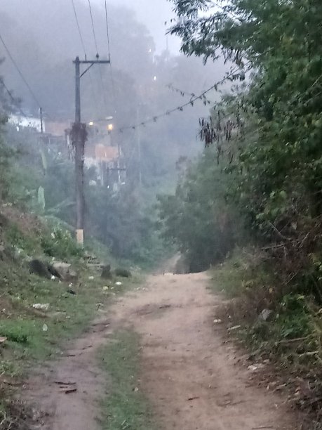 雾蒙蒙的道路图片下载