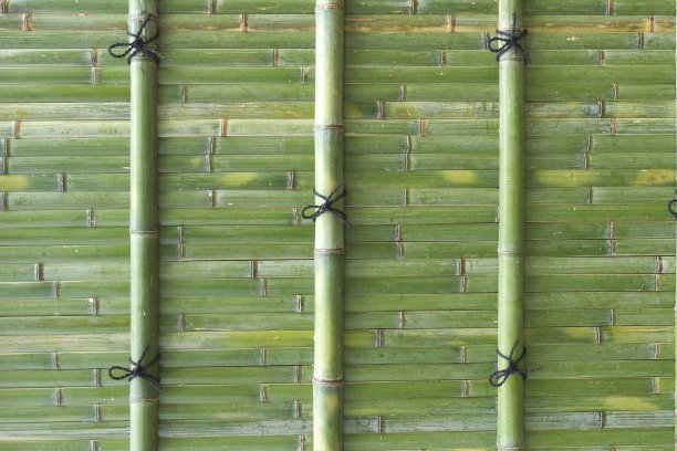 日本鲜绿竹墙图片下载